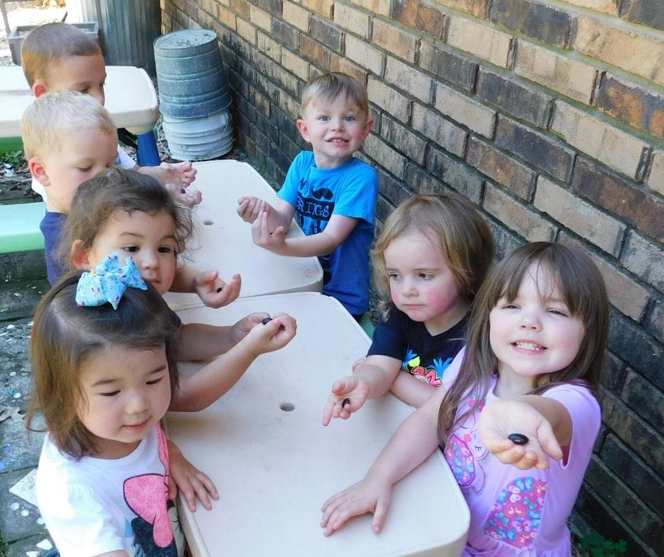 Kids doing daycare activities, studying bean seeds at an outdoor table.