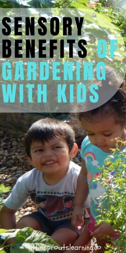 The garden has opportunities for kids to learn, but there are more benefits than we realize. There are a ton of sensory benefits of gardening with kids.