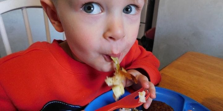 How many times have I heard a parent or daycare provider say my toddler won’t eat anything? More times than I can count. These toddler meals for picky eaters can help!