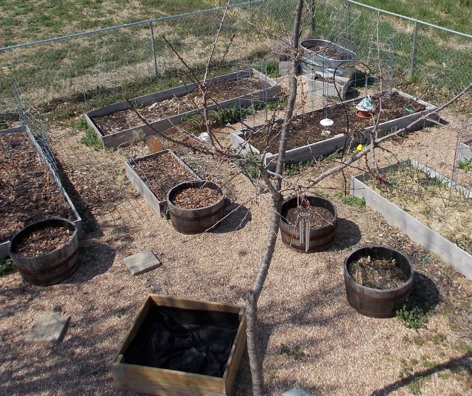raised bed garen design