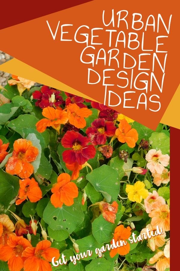 There are so many ways you can garden, you don’t have to live on a farm. Check out these urban vegetable garden design ideas and get inspired!