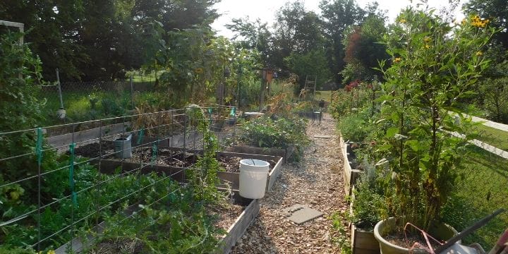 There are so many ways you can garden, you don’t have to live on a farm. Check out these urban vegetable garden design ideas and get inspired!