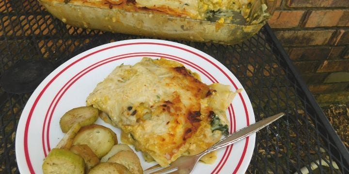 veggie packed butternut squash chicken lasagna