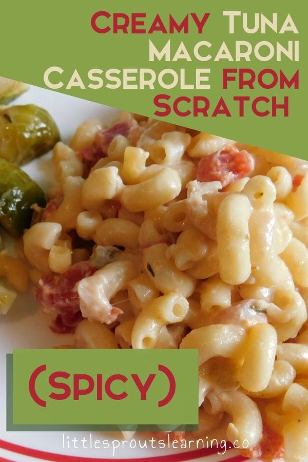 spicy tuna macaroni casserole on a plate