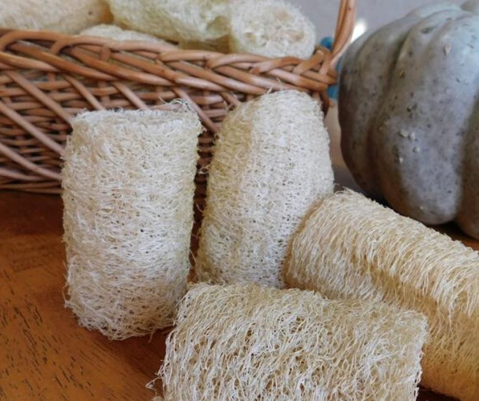 loofah sponges on a table and more in a basket next to a pumpkin