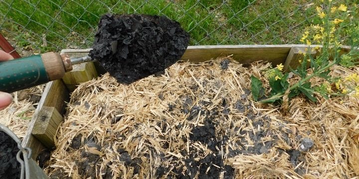 Ash can be a great addition to the garden for some uses. Learn how to use ash in the garden in this article. 