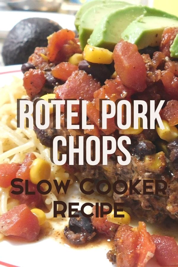 Rotel slow cooker pork chops on a plate