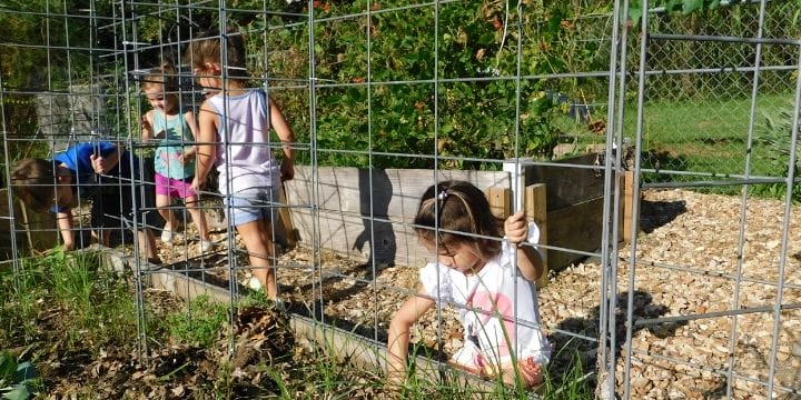 A good sturdy garden trellis is a great treasure in the garden. Check out these trellises you can make at home with what you might already have.
