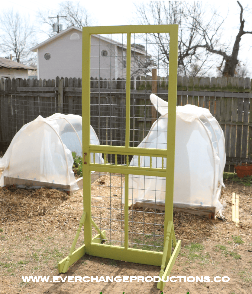 green garden trellis made from repurposed screen door