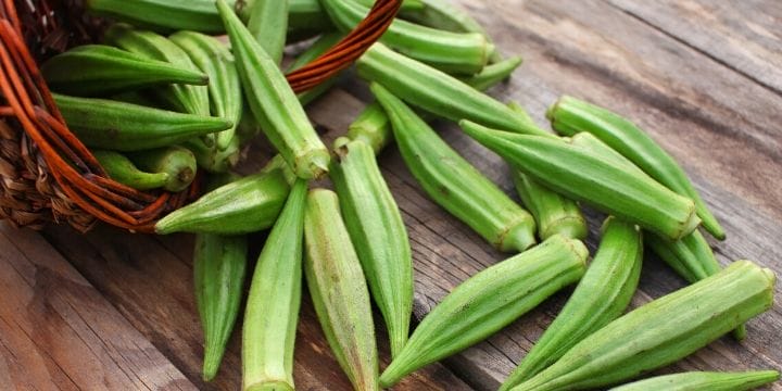 When the summer gets hot and humid in the south, the okra plants wake up and put out tons of excess okra at once. What can you do with okra that you can’t eat right now?