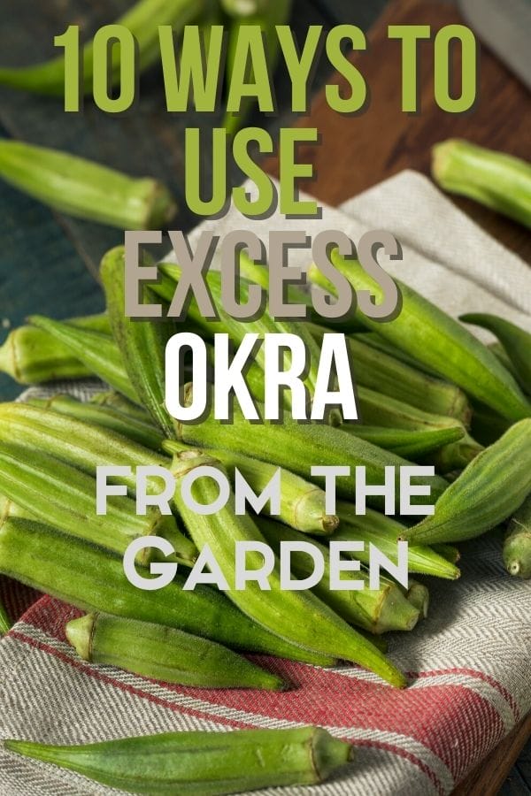 When the summer gets hot, the okra plants wake up and put out tons of excess okra at once. What can you do with okra that you can’t eat right now?