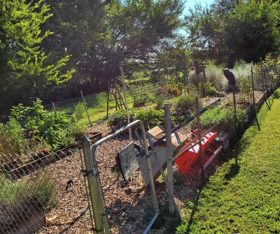 home daycare preschool garden