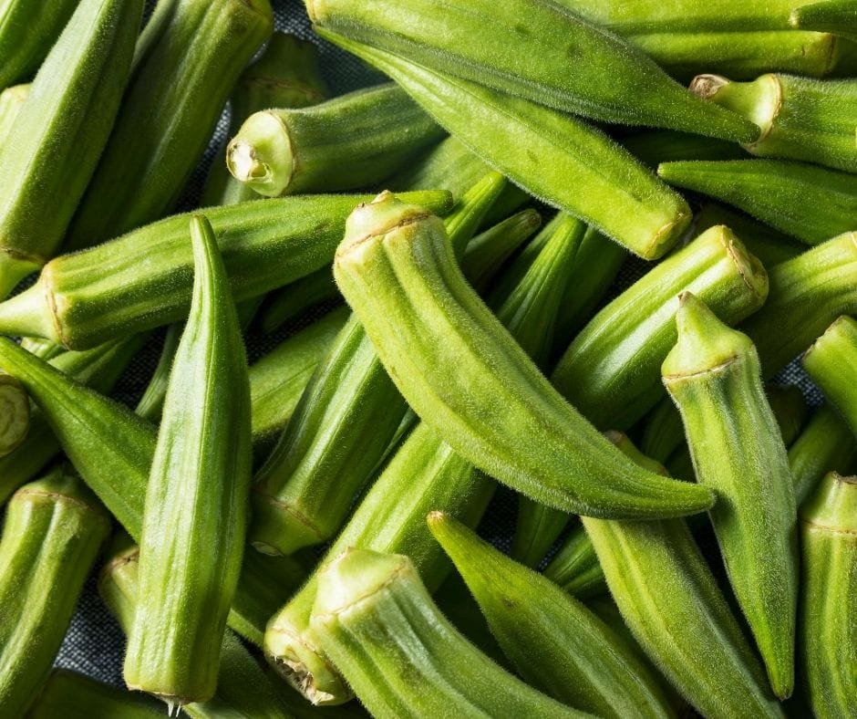 okra piled on the table fresh from the garden