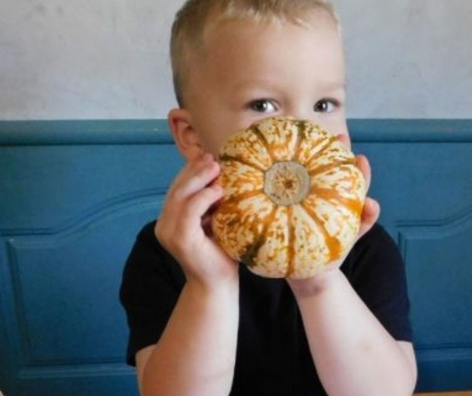 child holding a pumpkin for pumpkin activities