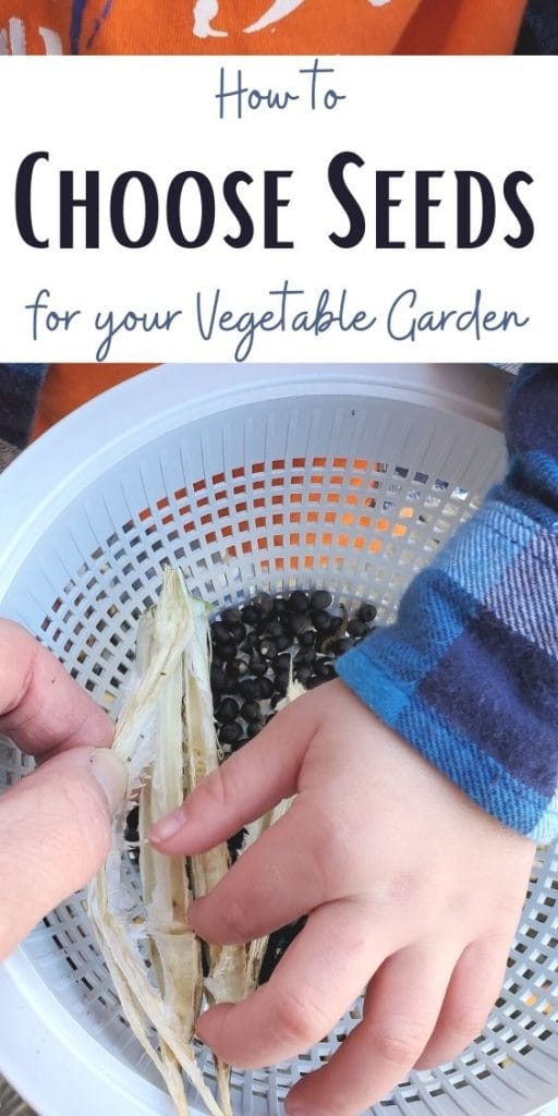 Growing your own food can give you a better life and seeds are where it all begins. But how do you choose seeds for your vegetable garden?