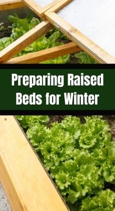 raised garden beds