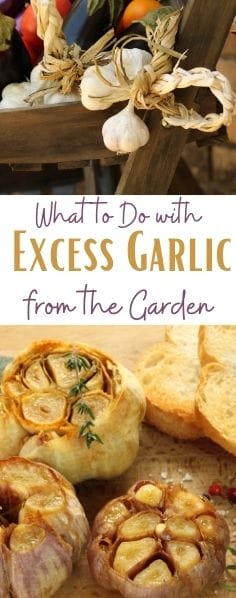 What to do with excess garlic from the garden