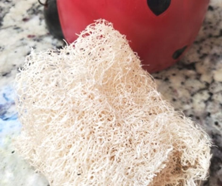 old loofah on the counter