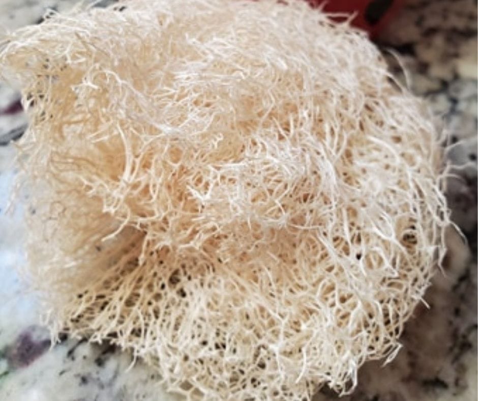 old luffah on the counter