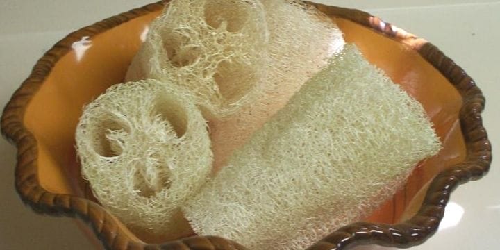 When your loofah wears out, is there anything you can use it for? Find out some things you can do with old loofahs.