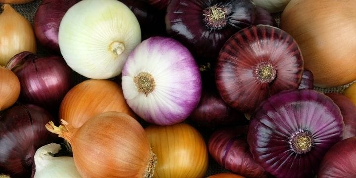Once in a while, you have a year in the vegetable garden with a ton of success growing onions. But how do you make sure none of your excess onions go to waste?