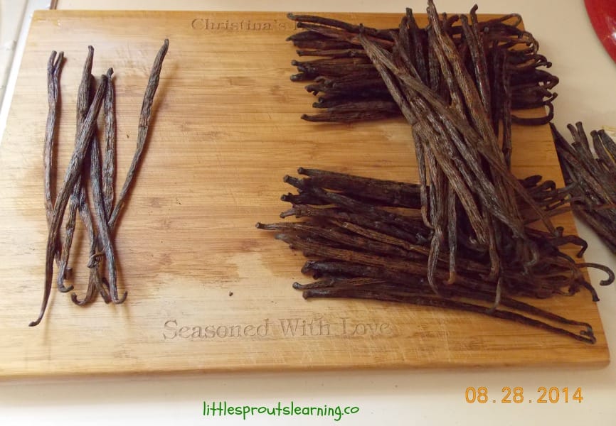 vanilla beans on the cutting board