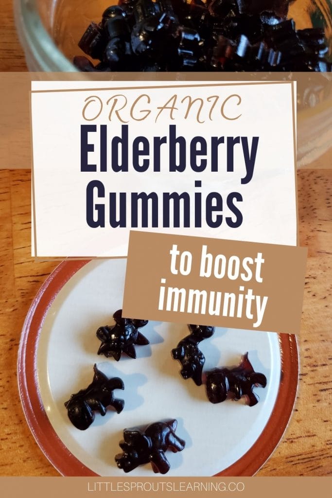 Organic elderberry gummies on a mason jar lid with the words organic elderberry gummies to boost immunity
