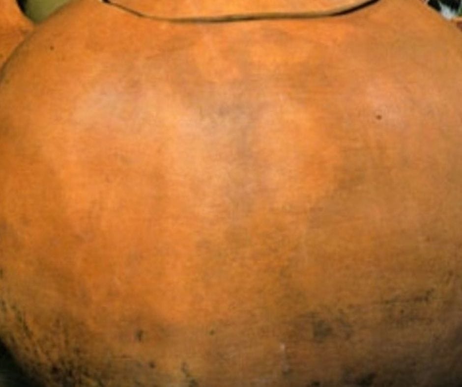 dry bushel gourd with the lid cut out