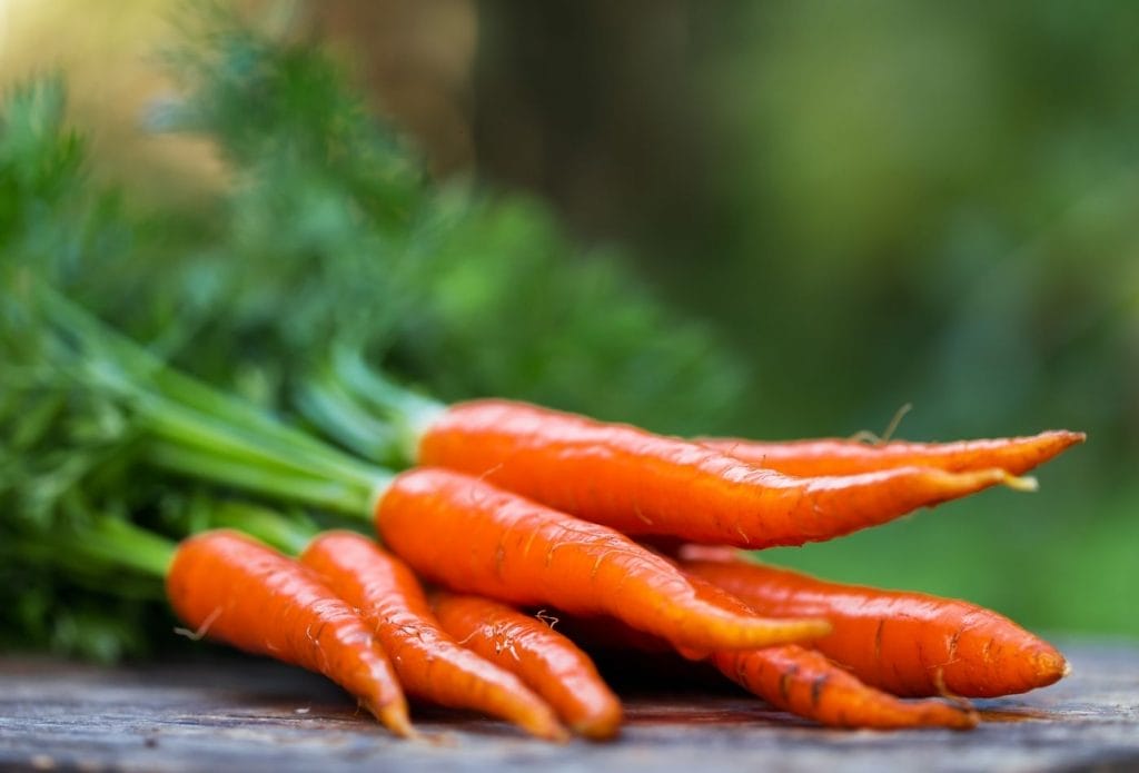 A bunch of carrots laying in a pile