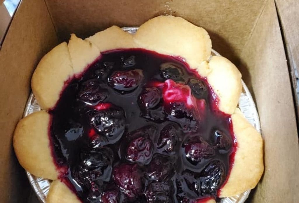4 inch mini blueberry tart in a box