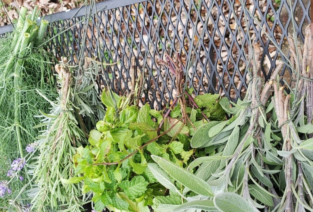 bundles of herbs going on to edible herb wreath