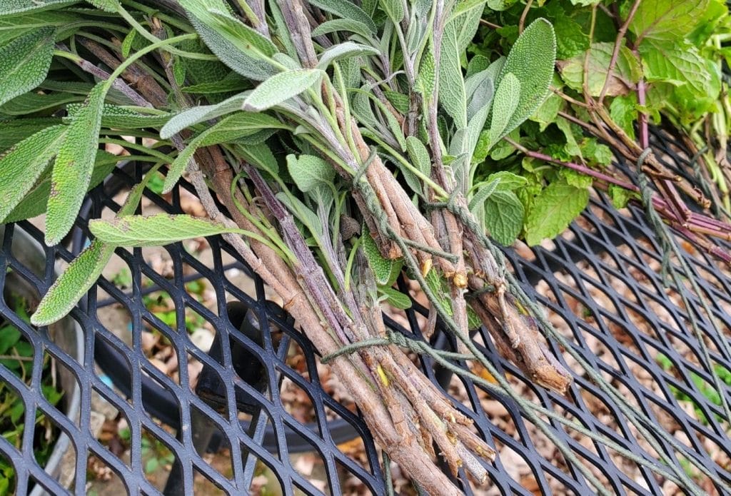 close up of herb bundles wrapped with floral wire
