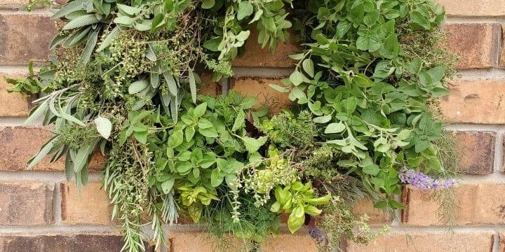edible herb wreath hanging on a brick wall.