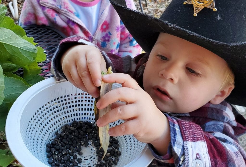a little boy wearing a cowboy hat and learning how to save seeds from the garden.