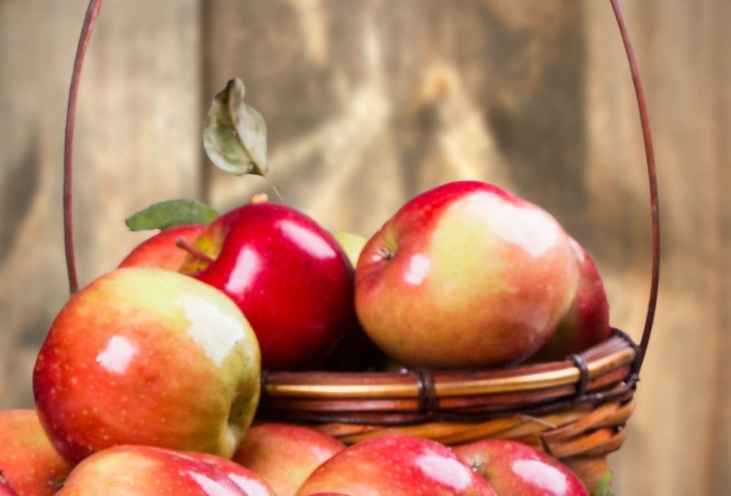 a basket of apples for kids to hunt