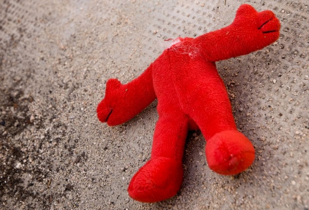 stuffed animal with the head ripped off