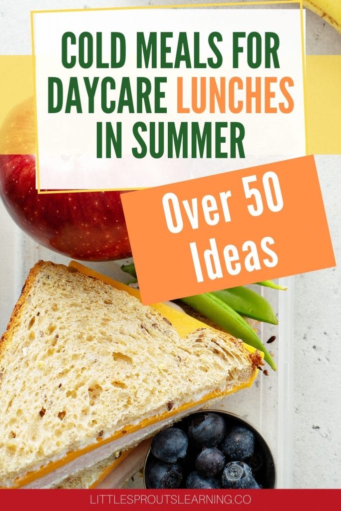 Sandwich and fruit and vegetables in a cold daycare lunch for summer