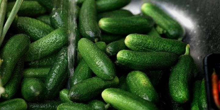 a sink full of fresh cucumbers ready for recipes