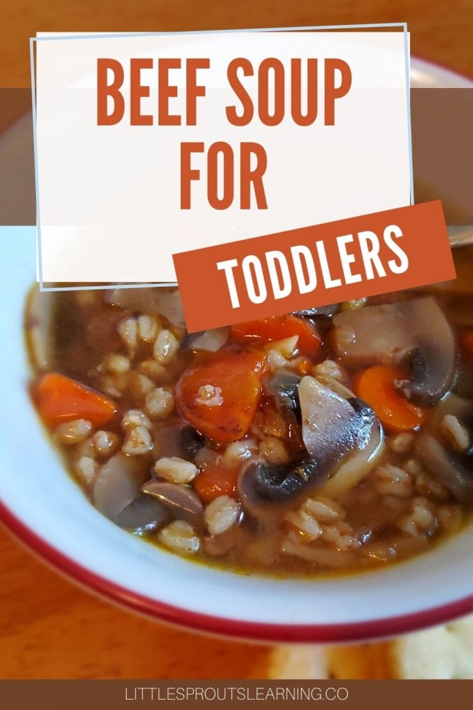 Beef, farro, and vegetable soup cooked to tender perfection for toddlers in a bowl