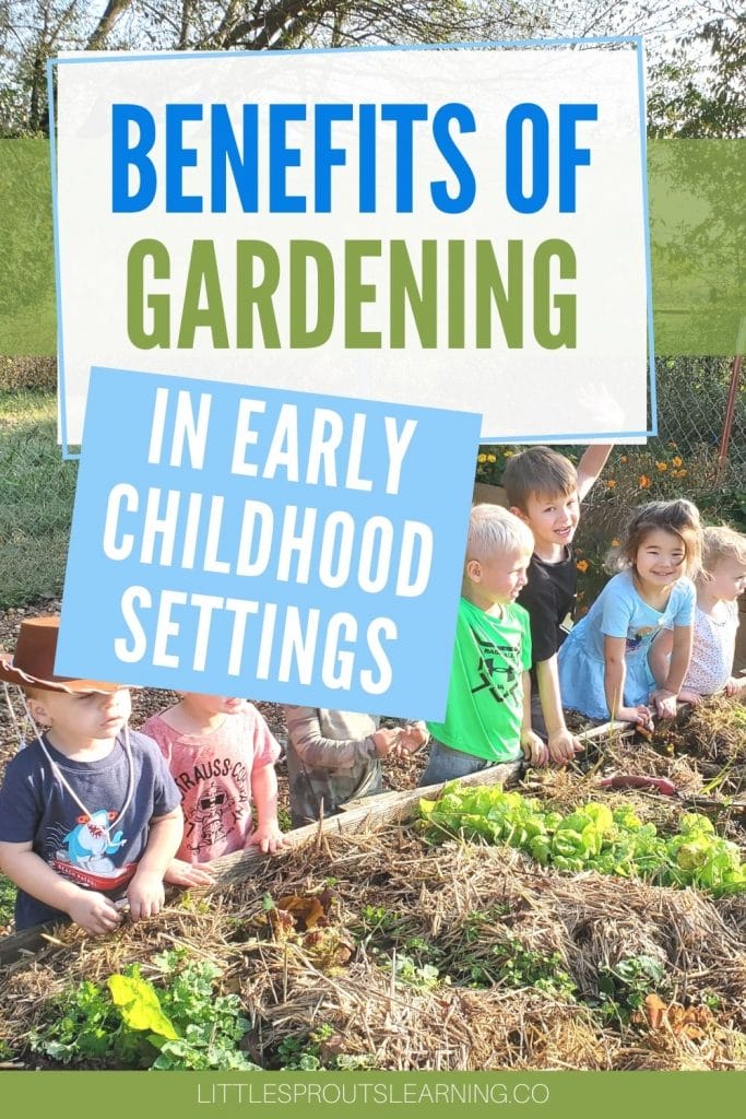 Kids in the garden harvesting lettuce