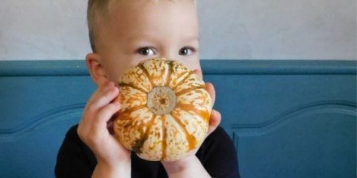 boy holding a small pumpkin at the table