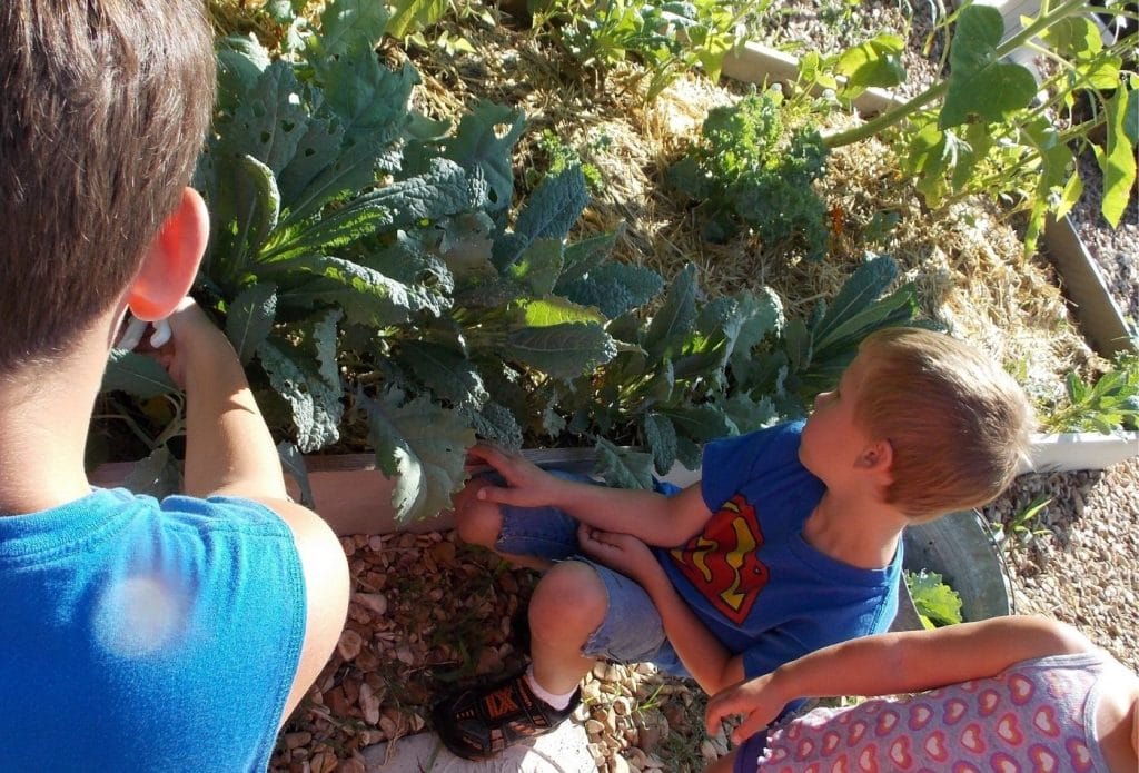 kids planting seeds in the preschool garden