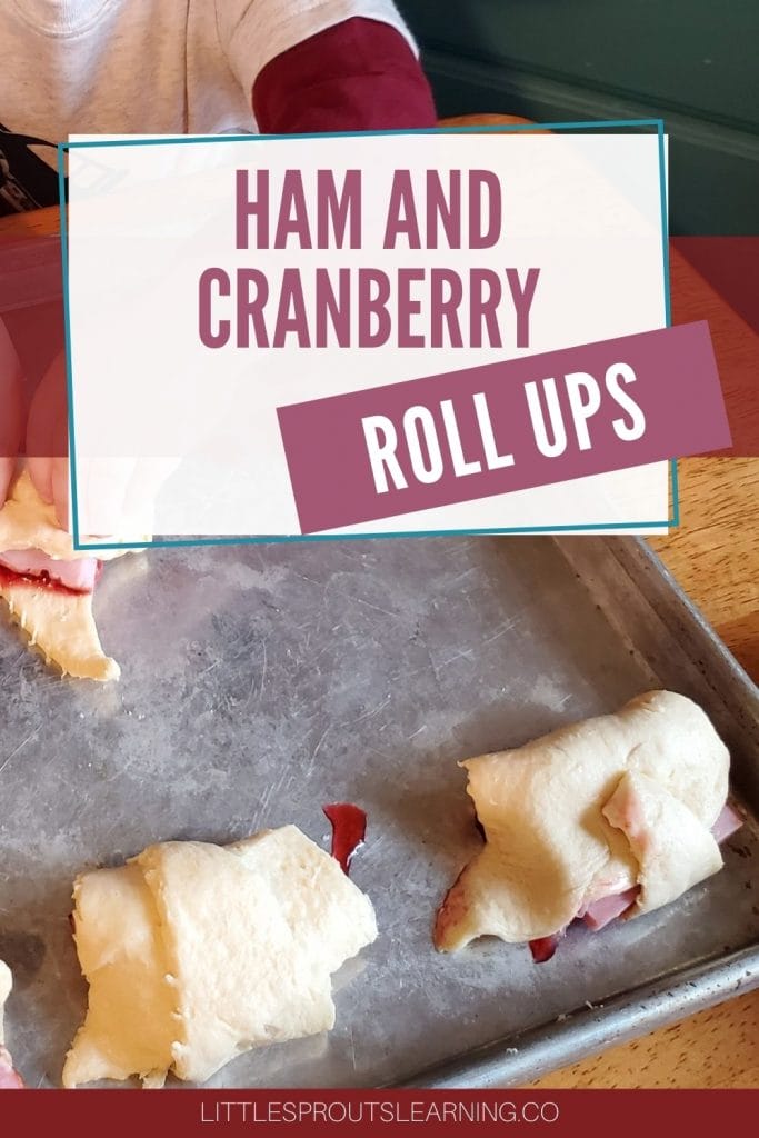 Ham and cranberry sauce rolled up in croissant roll dough