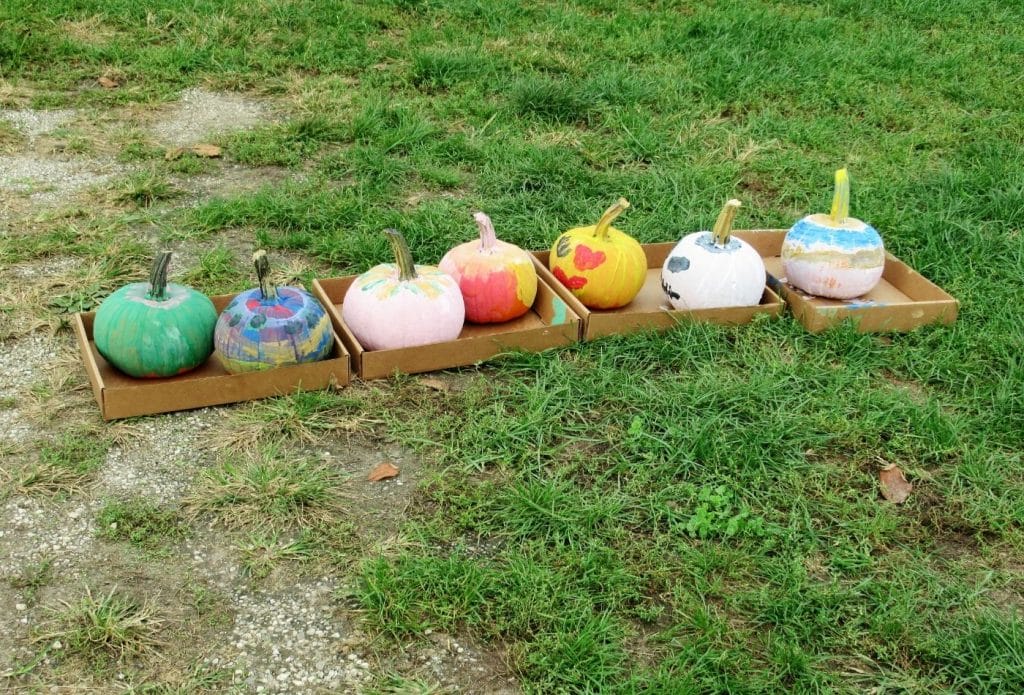 pumpkins painted by kids drying in boxes on the grass