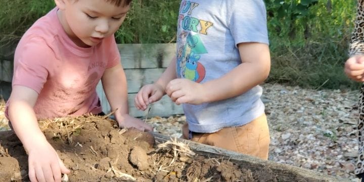 kids planting garlic in a vegetable garden