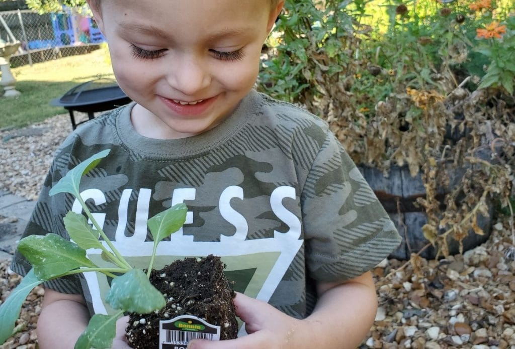 preschooler holding broccoli plant