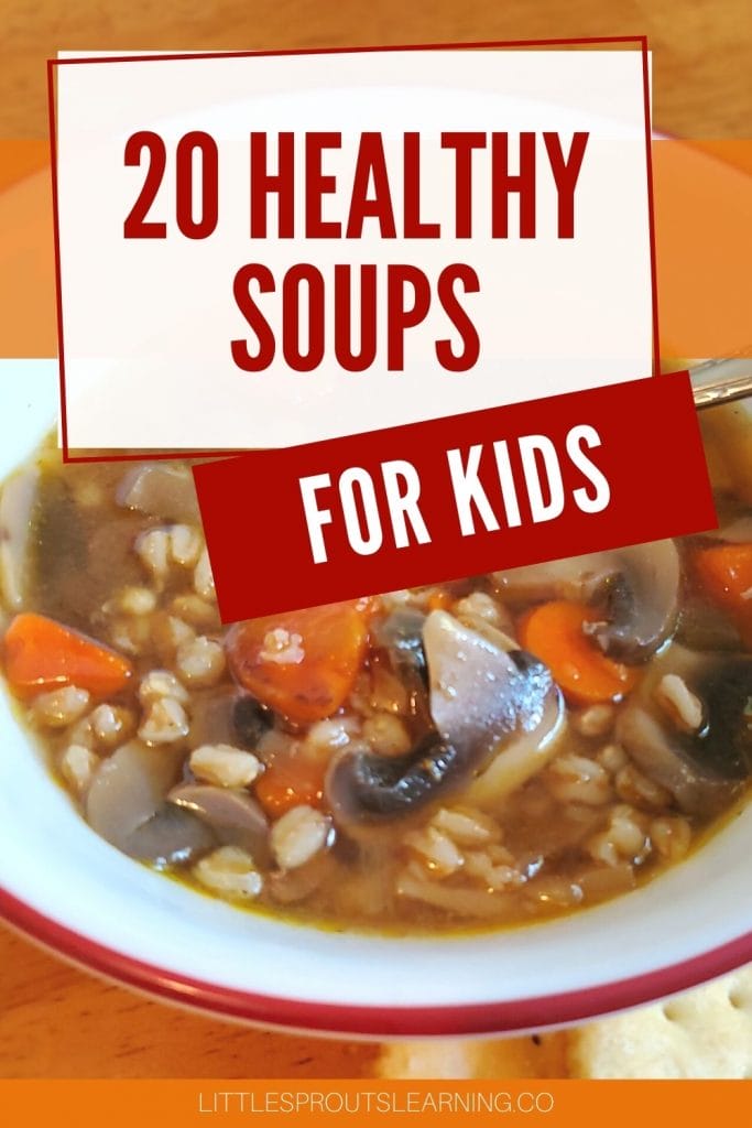 Beef and barley soup in a bowl