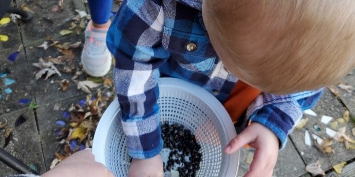 Children picking up easy to grow seeds for the vegetable garden from a bowl. Child is wearing a plaid shirt and a cowboy hat.