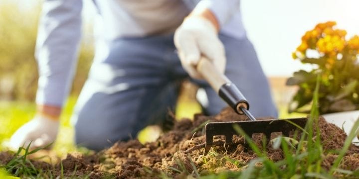 Person in the home garden with a rake cultivating soil for planting