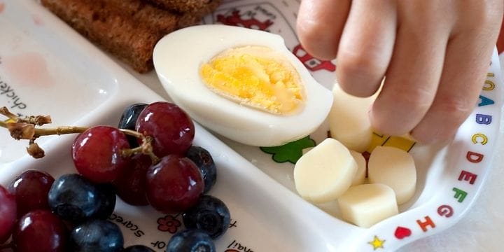healthy food on a toddler plate